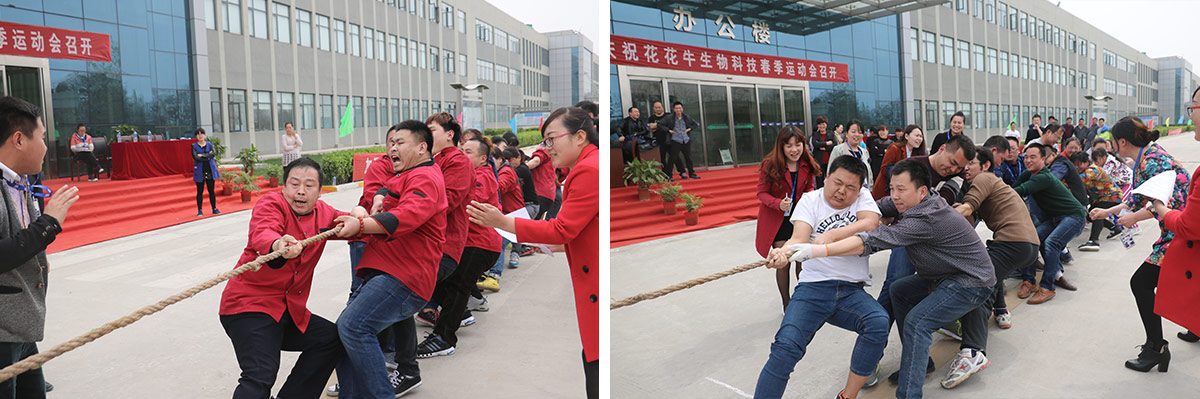 ַlvƼ޹˾ٰ2016괺˶