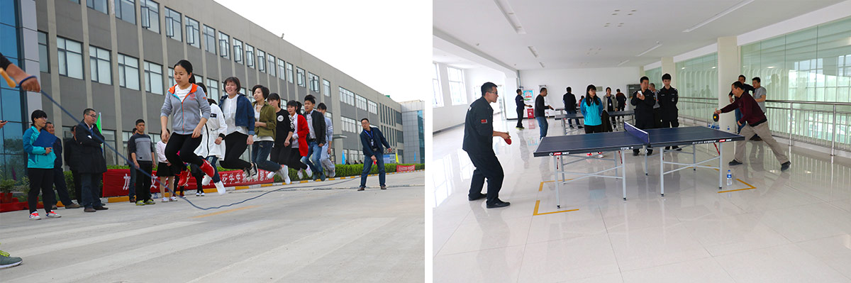 ַlvƼ޹˾ٰ2016괺˶