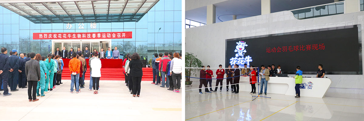 ַlvƼ޹˾ٰ2016괺˶