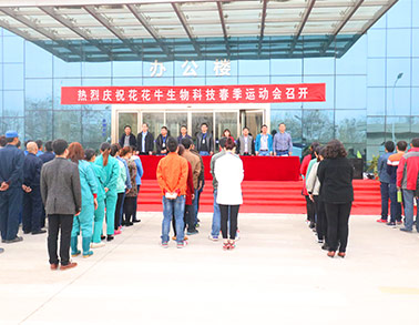 ַlvƼ޹˾ٰ2016괺˶