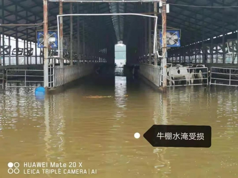 鱨۽ԥѶϵԭţˡ̫ˡ