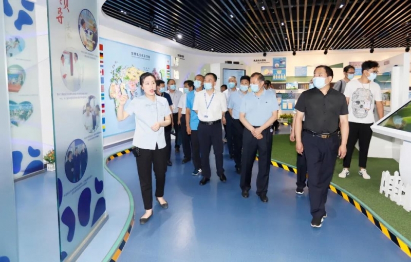 ֣аȫ˫ԤϵֳĦַlvҵ֣ݷֹ˾ٿ