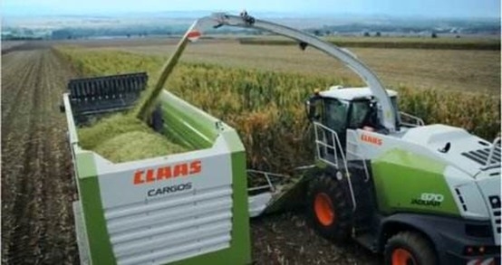 ַlvҵŹɷ޹˾ 2020ɹϢ