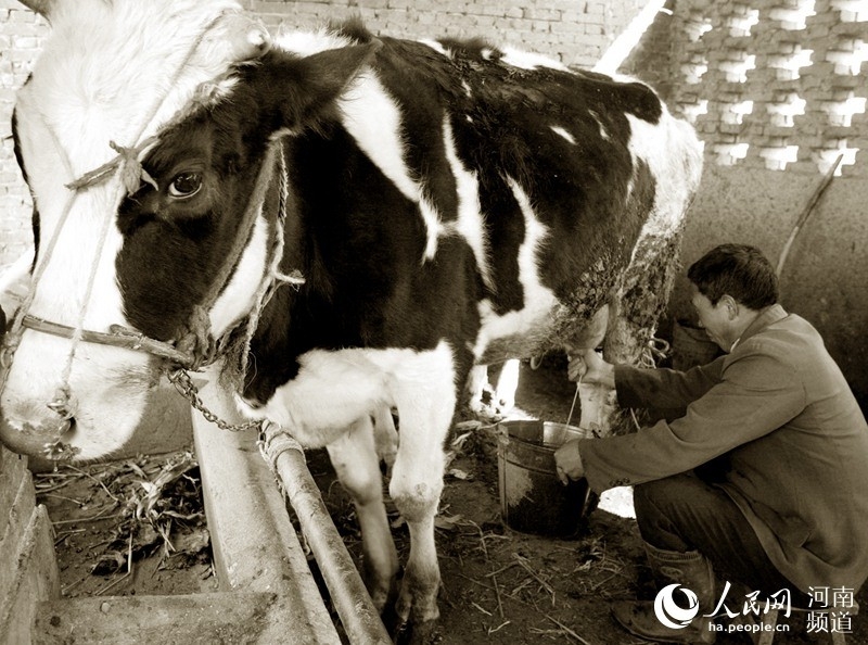 ϵ һƿţ̣ӡݳƷճƷ