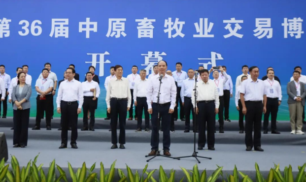 36ԭҵײῪĻַlvҵն󽱣