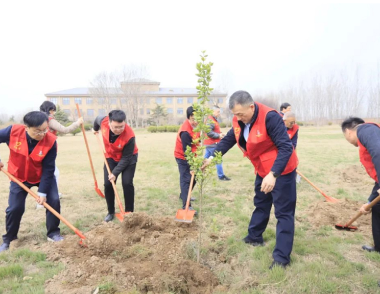 ַlvҵſչɫչ ֲȷСֲ